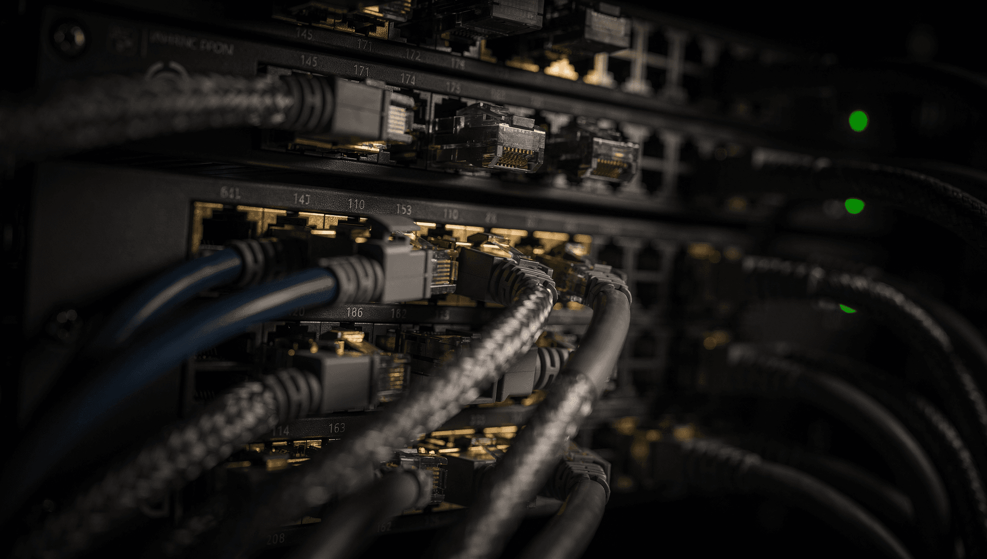 Extreme macro of a dressed network patch panel, rows of gold connectors with one deep-blue cable seated.